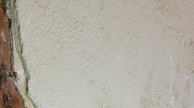 Rats and Rodent Control