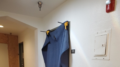 Bedbug Heat Treatment Process Photo