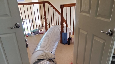 Bedbug Heat Treatment Process Photo