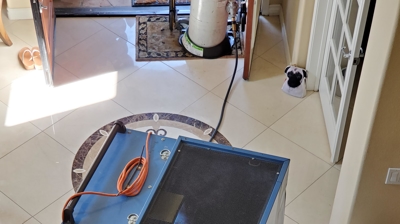 Bedbug Heat Treatment Process Photo