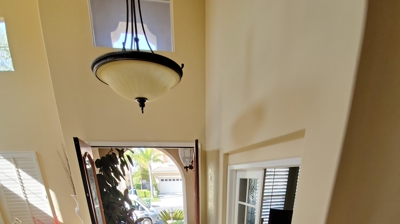 Bedbug Heat Treatment Process Photo