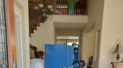 Bedbug Heat Treatment Process Photo