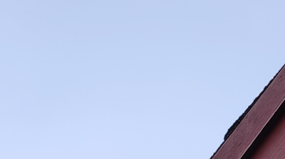 Rats only need a hole the size of a quarter. Photo